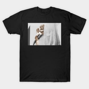 Curious Cat T-Shirt